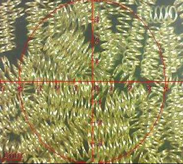 ROHS موسم بہار چڑھانا مصنوعات پوگو پن ٹیسٹ رپورٹ۔